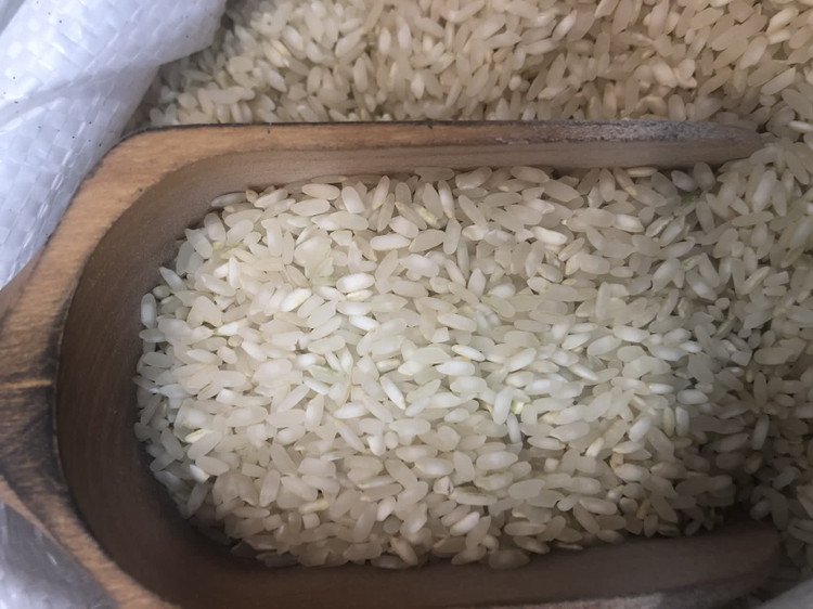 برنج کامفیروز شیراز اعیان