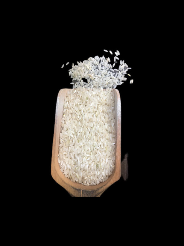 برنج دشت لنجان